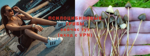 прущие крисы Белоозёрский