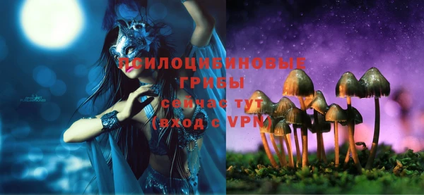 дурь Беломорск